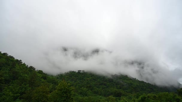 Быстрый Движущийся Туман Слева Покрывающий Тропический Лес Сай Йок Канчанабури — стоковое видео