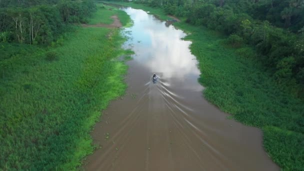 Zdjęcia Lotnicze Śledzące Małą Łódź Płynącą Dół Rzeki Amazonki Lesie — Wideo stockowe