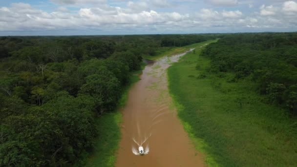 アマゾン川を下る船とペルーの川を囲む熱帯雨林で撮影された — ストック動画