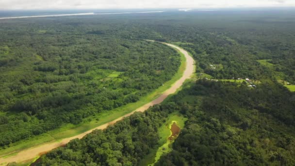 ペルーの水を取り巻くアマゾン川とアマゾンの熱帯雨林の広い空中撮影 — ストック動画