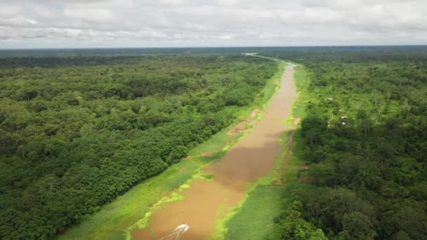 Tiro Aéreo Rotativo Largo Rio Amazônia Floresta Amazônica Torno Água — Vídeo de Stock