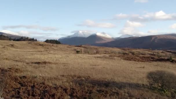 Drohnenaufnahmen Die Vorwärts Und Über Orangenbracken Und Moorlandschaften Fliegen Zeigen — Stockvideo