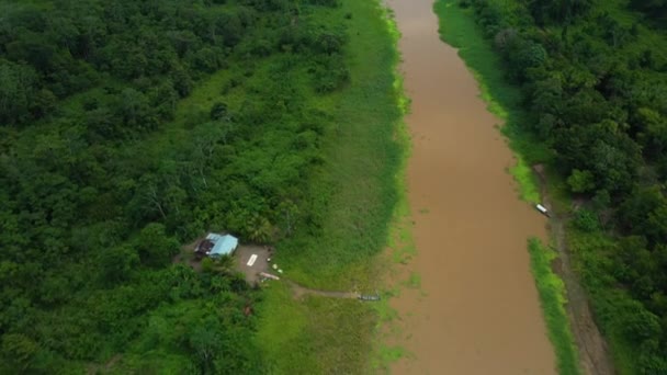Tiltning Upp Drönare Skott Amazonas Flod Och Regnskog Peru — Stockvideo