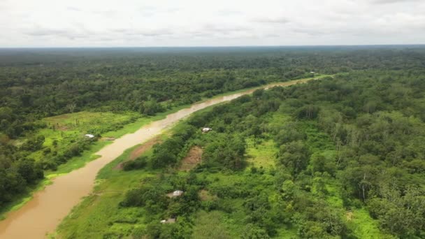 Cinematic Rotating Aerial Shot Amazon River Rainforest Few Small Buildings — Stock Video