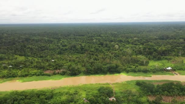 Amplio Tiro Dron Giratorio Con Bote Río Amazonas Selva Tropical — Vídeos de Stock