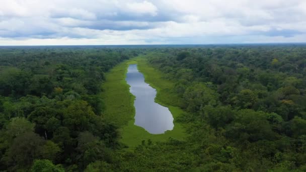 Tiro Dron Giratorio Estanque Selva Amazónica Con Exuberante Selva Verde — Vídeo de stock