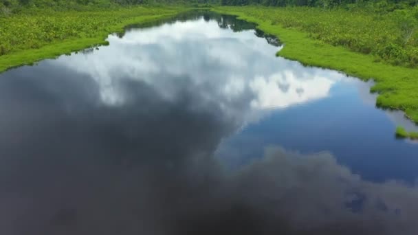 Кинематографический Дрон Начинающийся Реки Амазонки Затем Медленно Наклоняется Вверх Полет — стоковое видео