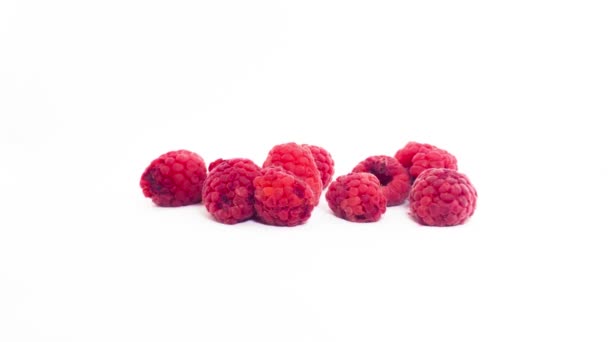 Frutta Rossa Fresca Del Lampone Che Asciuga Fuori Nello Sfondo — Video Stock