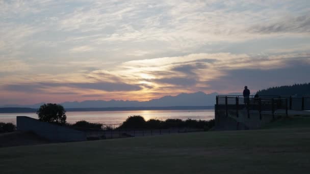 Ocean Solnedgang Park Med Silhuet – Stock-video