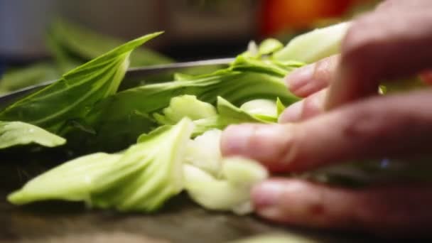 Chef Asiático Finamente Picando Verduras Hoja Verde Con Cuchillo Afilado — Vídeo de stock