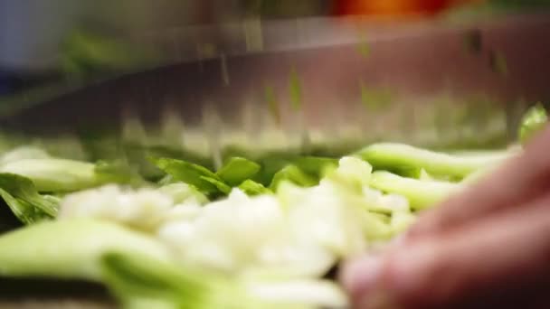 Detalle Chef Asiático Picando Finamente Vegetales Hoja Verde Con Cuchillo — Vídeo de stock