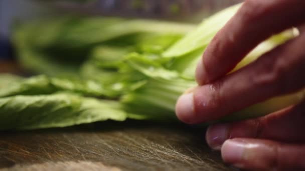 Detalle Del Chef Asiático Rebanando Verduras Hoja Verde Con Cuchillo — Vídeo de stock