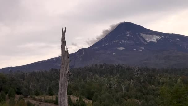 Vulcano Villarrica Che Rilascia Ceneri Pucn Cile Aprile 2015 — Video Stock