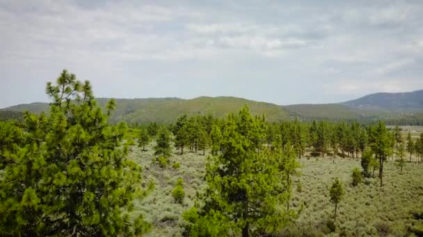 德隆从树线上站起来 向四周的山区揭示了一个湖泊 美丽的绿色色调和色彩 — 图库视频影像