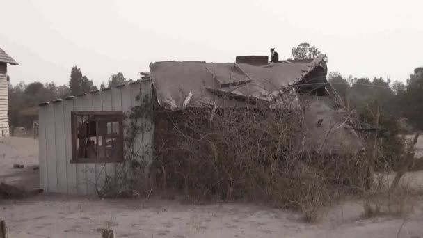 Uma Paisagem Cinzas Após Erupção Vulcão Calbuco Ensenada Puerto Montt — Vídeo de Stock