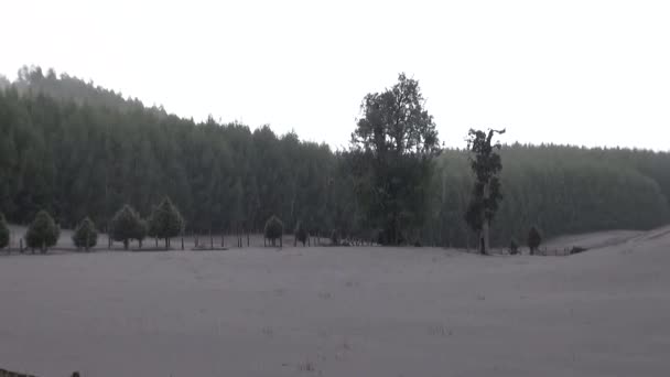 Eine Landschaft Aus Asche Nach Dem Ausbruch Des Vulkans Calbuco — Stockvideo