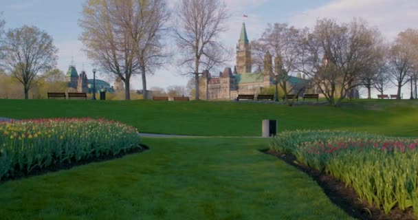 360 Pan Downtown Ottawa Tulip Festival Gardens Einschließlich Parlament Nationaler — Stockvideo