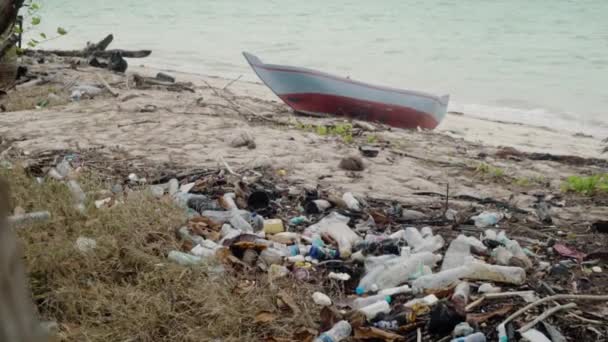 Revela Más Allá Palmera Pila Botellas Plástico Lavadas Playa Tropical — Vídeo de stock