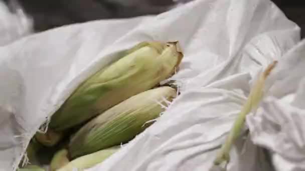 Chupitos Frutas Verduras Frescas — Vídeo de stock