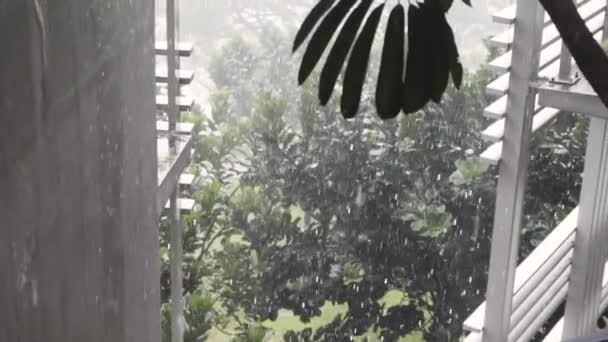 Hermosa Lluvia Lenta Cae Ventana Edificio Hormigón Tormenta Tropical Cámara — Vídeo de stock