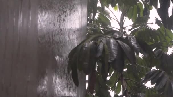 Lluvia Caída Agua Cayendo Lado Del Edificio Hormigón Durante Una — Vídeos de Stock