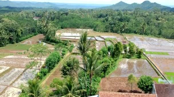 背景に山のある水田の上に小さなインドネシアの村のドローン映像 — ストック動画