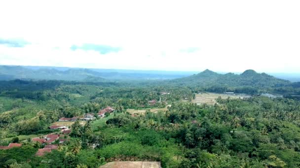 Des Rizières Dans Petit Village Java Est Indonésie Images Drones — Video