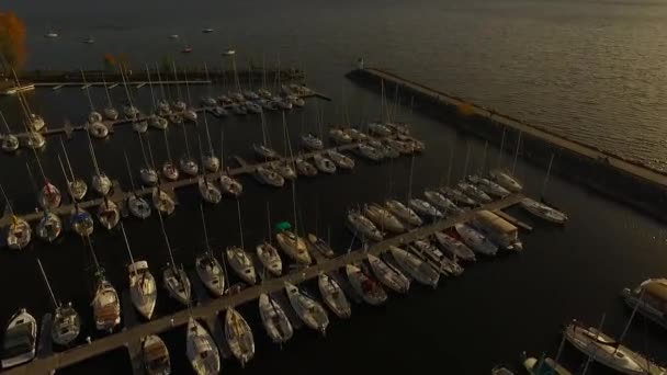 Marina Sailboat Sunset View — стокове відео