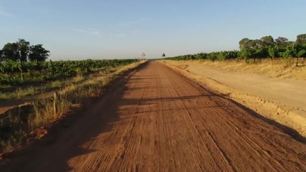 Drone Volando Sobre Camino Tierra Con Hileras Cultivos Verdes Ambos — Vídeos de Stock