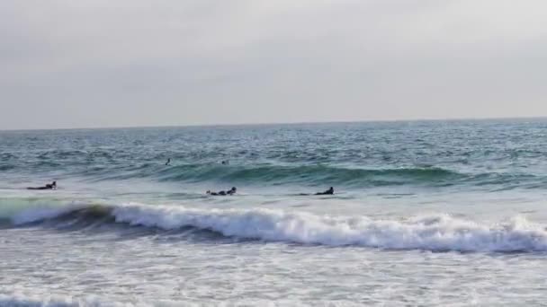 Surfer Die Strand Hermosa Gegen Die Wellen Der Meeresküste Paddeln — Stockvideo