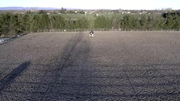 Meisje Paardrijden Met Bomen Achtergrond Drone Verheffen Schemering Dan Afstijgen — Stockvideo