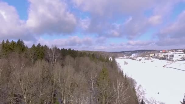 Αεροφωτογραφία Ενώ Πετούν Πάνω Από Ένα Δάσος Και Παγωμένη Λίμνη — Αρχείο Βίντεο