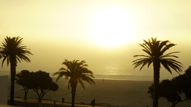 Tramonto Nebbioso Sulla Spiaggia — Video Stock