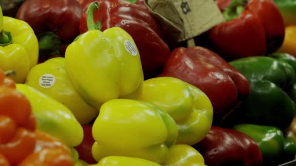 Mängd Olika Färgglada Frukter Och Grönsaker Lantbruksmarknad — Stockvideo