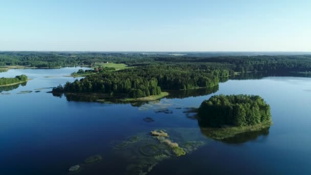 Vista Aérea Lago Entre Floresta Verde Hora Verão — Vídeo de Stock