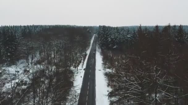 德国Eifel自然公园冰冻景观中的一条长长的笔直的道路 — 图库视频影像