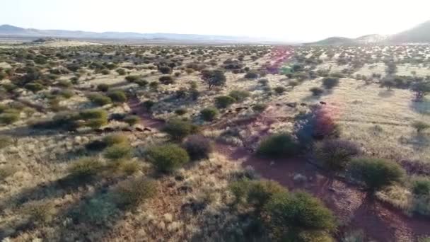 Disparo Drones Aéreos Lentos Después Camino Valle Irregular Entre Montañas — Vídeos de Stock