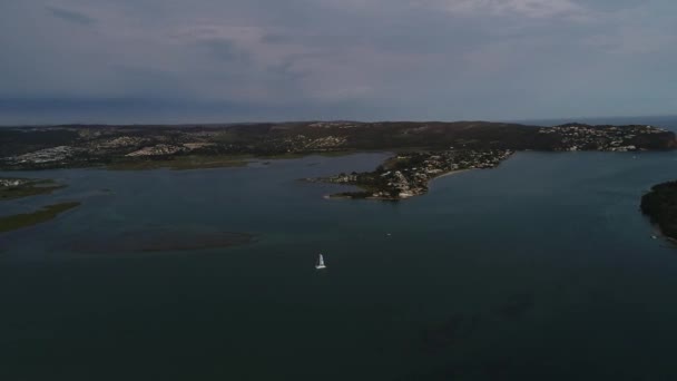 Gruppe Von Löffler Vögeln Ernährt Sich Flachen Wasser Einem Naturschutzgebiet — Stockvideo