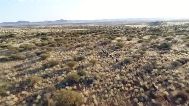 Aerial Drone Shot Jagged Valley Road Mountains Cederberge South África — Vídeo de Stock