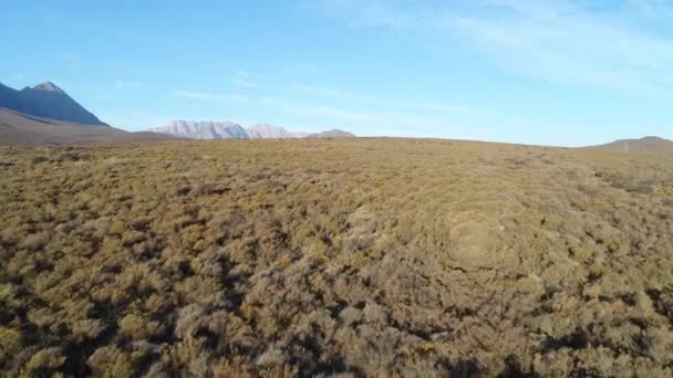 在南非Cederberge树梢上空发射的无人驾驶飞机 — 图库视频影像