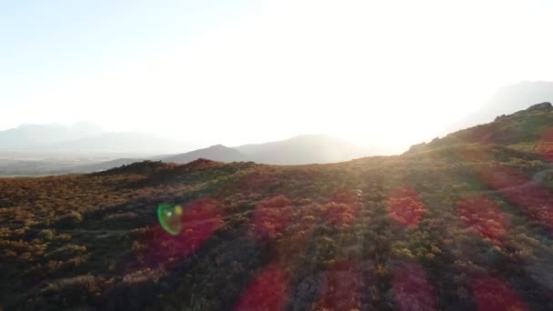 Brede Drone Beelden Van Een Mannelijke Trail Loper Langs Een — Stockvideo