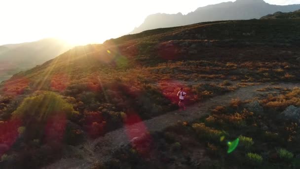 Aerial Drone Footage Male Trail Runner Running Single Track Path — Stock Video