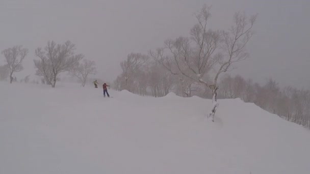 Snowboarding Japonii — Wideo stockowe