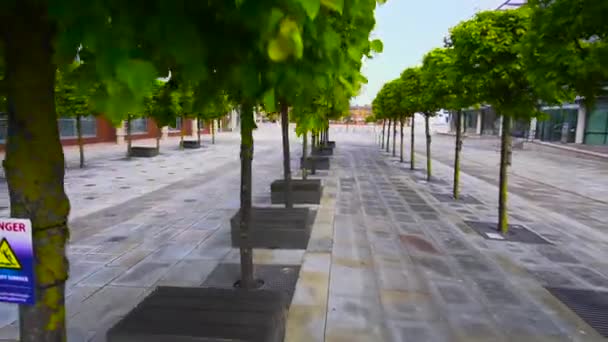 Gröna Träd Bredvid Bostäder Städer — Stockvideo