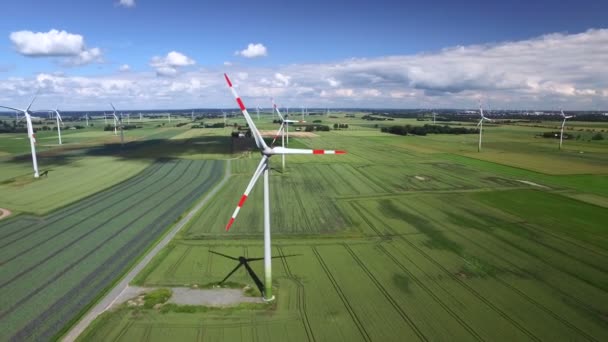 Vista Aérea Parque Eólico Onshore Norte Alemanha Dia Ensolarado — Vídeo de Stock