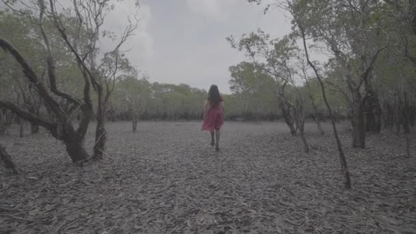 Wide Shot Gadis Dalam Gaun Merah Berjalan Hutan Bakau Terengganu — Stok Video