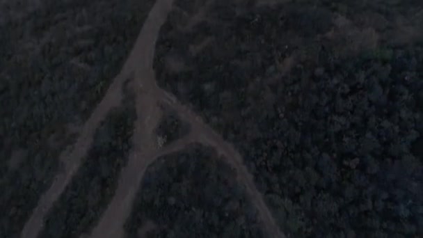 Voe Sobre Imagens Drones Corredor Trilha Masculino Longo Caminho Terra — Vídeo de Stock