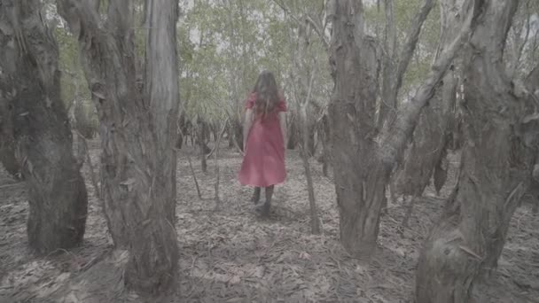 マレーシアのTerengganuのマングローブ林で実行されている赤いドレスの少女のワイドショット — ストック動画