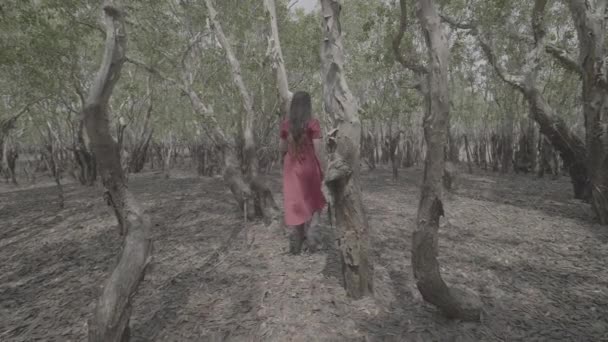Широкий Постріл Дівчинки Червоне Плаття Біжить Мангровому Лісі Теренггану Малайзія — стокове відео