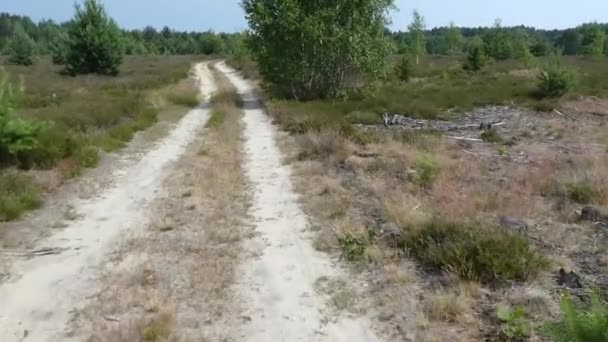 Moorland Weg Brandenburg Oost Duitsland — Stockvideo